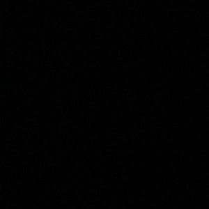 Meet your Posher, Cody